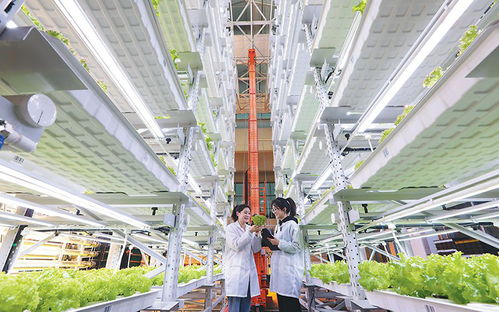 安徽新聞 安徽惟一重點(diǎn)新聞門戶網(wǎng)站