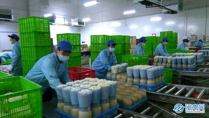 云霄 生物科技助力穩產保供，讓市民“菜籃子”拎得更穩